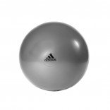 Adidas Gymball 75cm DGH Solid Grey (ADBL-13247GR)