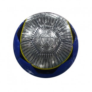 Fenerbahçe 4D Futbol Topu No:5