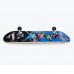 Hot Wheels Lisanslı Kaykay
